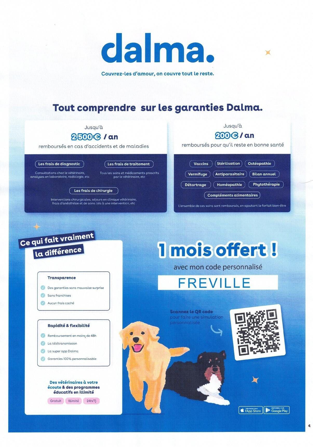 FLYER DALMA.jpg